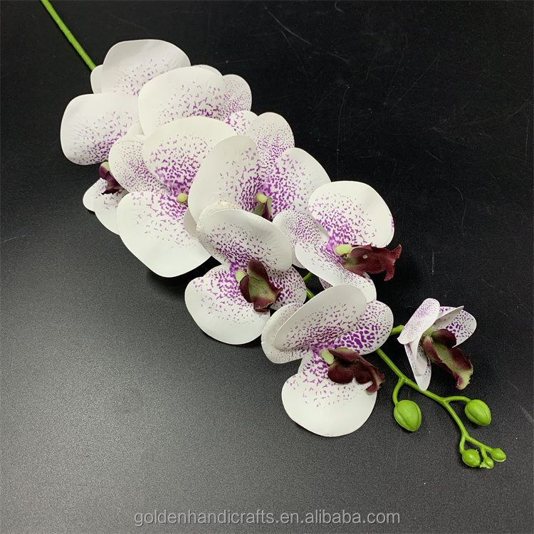 Blanco con centro morado