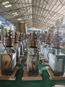 Ananas suyu makineleri portakal armut çıkarıcı yapma ticari meyve sıkacağı makinesi - Product Image 4