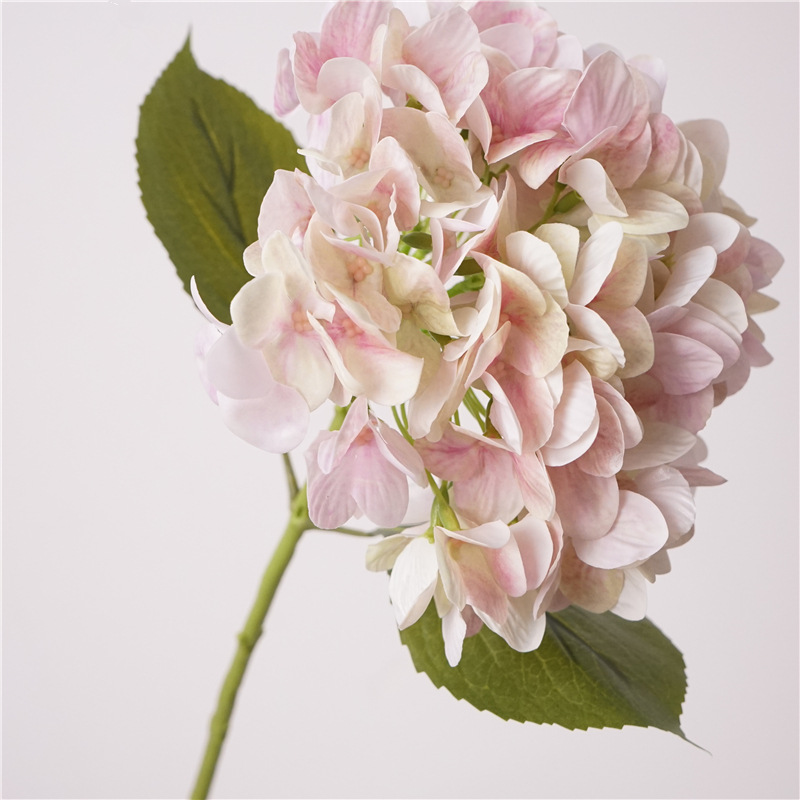 Hand print magic coral hydrangea-pink