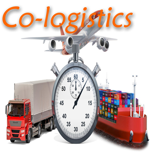 Trung Quốc vận chuyển giao nhận Port-to-Port dịch vụ để tanjung pelepas Malaysia với giá rẻ - Product Image 3