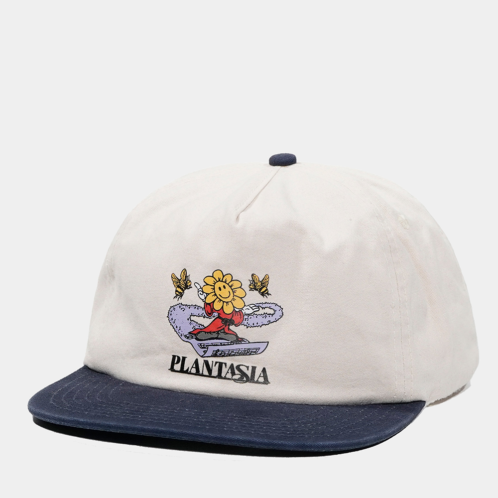 Blanc et bleu marine