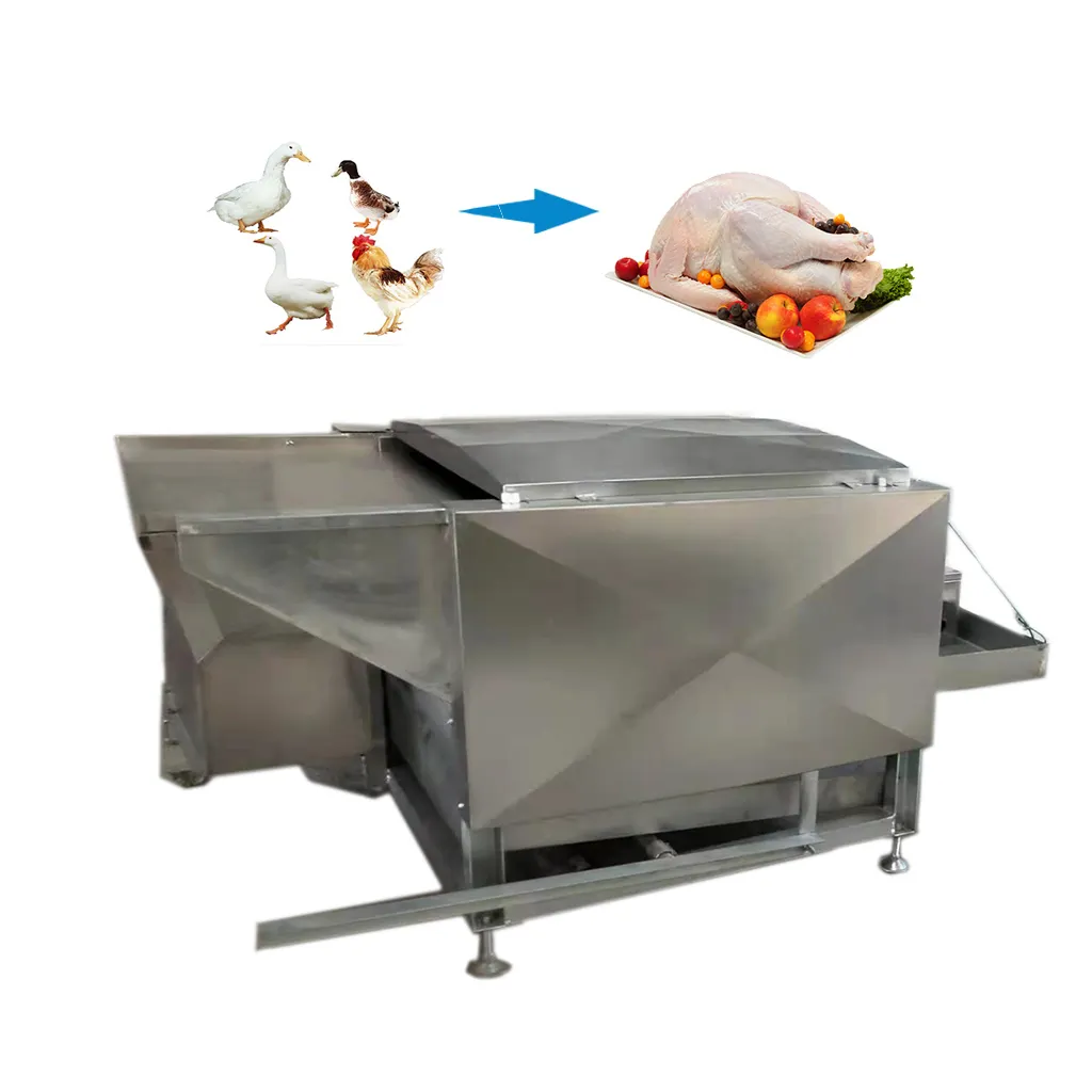 Máquina automática para desplumar pollos, suministro de fábrica, 500/hora, a la venta
