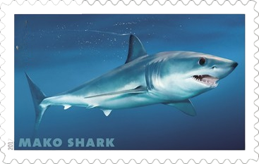 2017 Shark MY-RX154