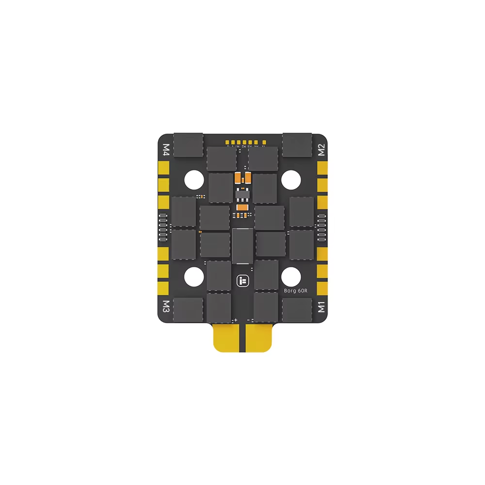 Borg 60rs esc (cuadrado)