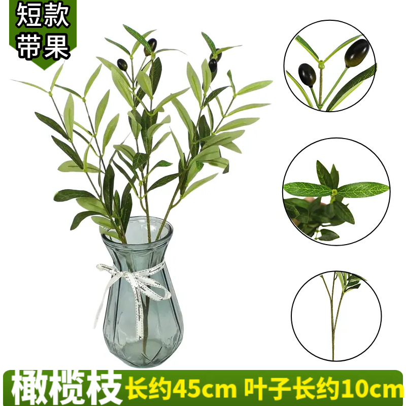 Short olive branch with fruit -1 branch