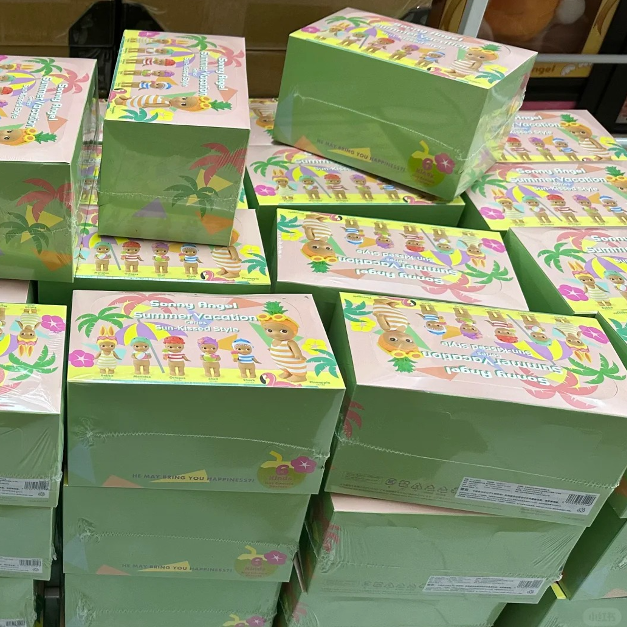 Summer Vacation Series 6 Boxes/Set