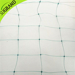 Plastic <strong>Trellis</strong> <strong>Mesh</strong> <strong>Netting</strong>, Green Color <strong>Trellis</strong> <strong>Netting</strong> Plant Support <strong>Mesh</strong> - Product Image 4