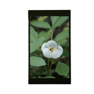 7,0-Zoll-TFT-LCD-Display-Controller-Platine für den Außen-Touchscreen mit LVDS-MIPI-RGB-Schnitts tellen IPS-Panel-LCD-Modulen - Product Image 3