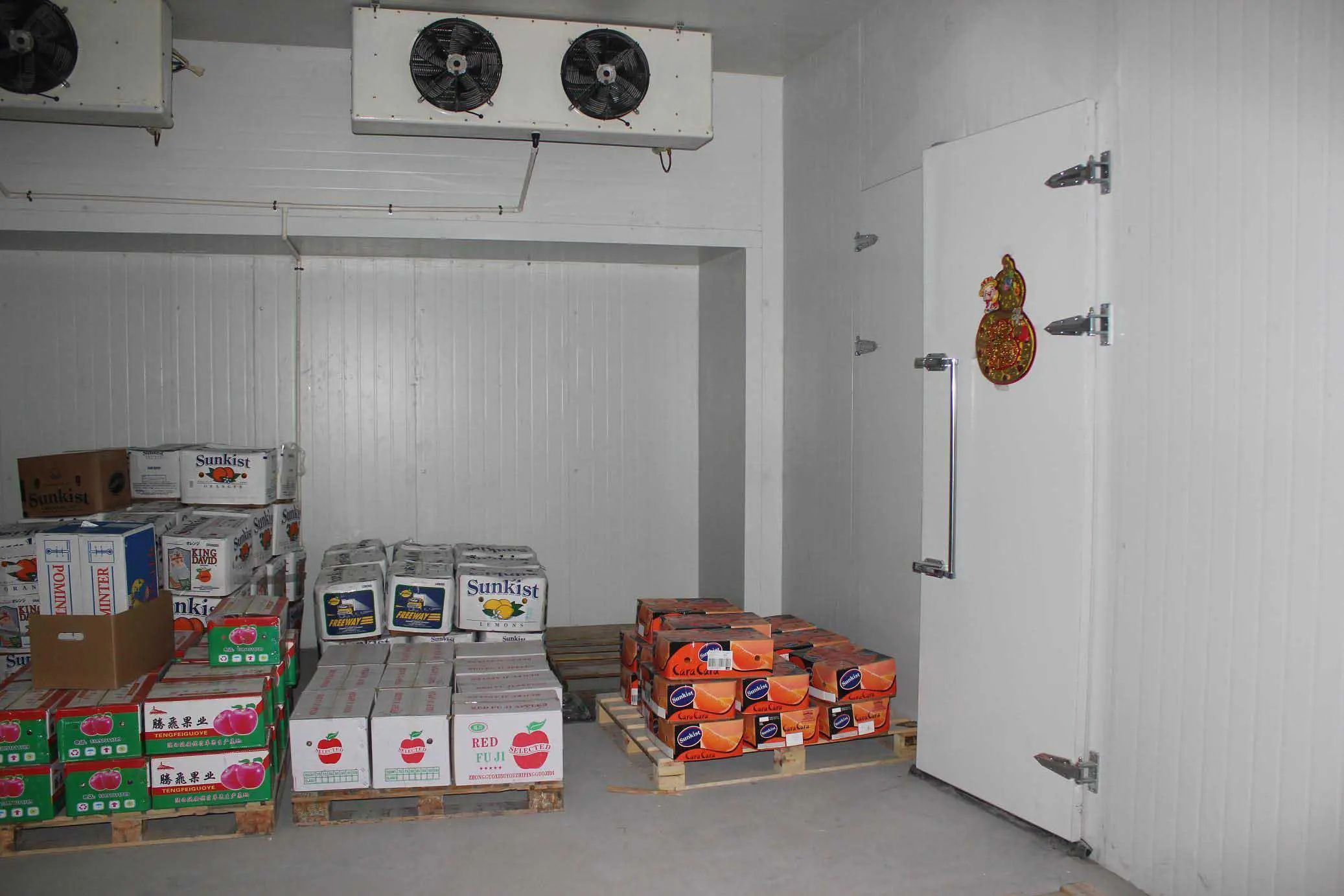 Câmaras frigoríficas para venda preço de câmara frigorífica lagosta congelada com unidade de condensação aprovada pela CE