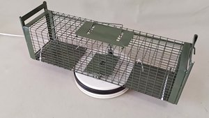 Katlanır Metal büyük büyük canlı vahşi Bobcat insancıl tilki sincap hayvan köpek başıboş kedi tuzakları kafes 2 kapılar ile <span class=keywords><strong>Feral</strong></span> kediler için satın