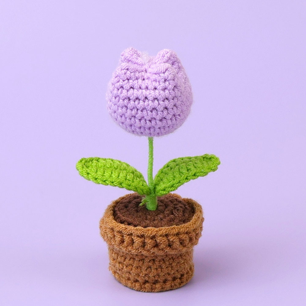 Plante en pot tulipe violet clair