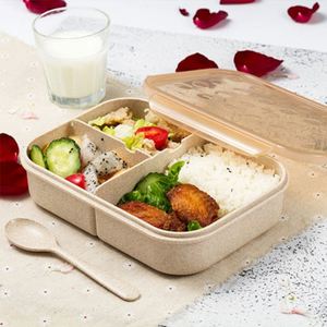 Şeffaf görsel kapaklı 3 ızgara çocuk beslenme çantası sızdırmaz kilit yakalama Bento kutusu - Product Image 1