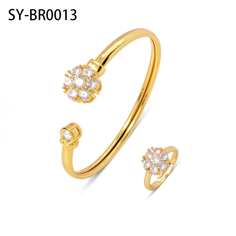 SY-BR0013 : SY-BR0013