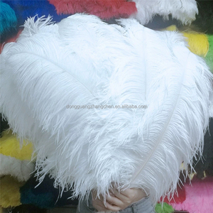 Large White Ostrich Plumes <strong>Feather</strong> For Carnival Festival Wedding Party Decoration Natural Bulk Supply Cheap Sale Washed Pattern - Product Image 3