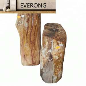 Haute valeur pour la collection Pierre décorative naturelle de luxe Bois fossilisé pétrifié - Product Image 1