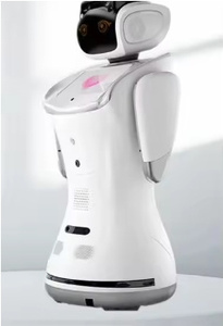 <strong>Brand</strong> New Commercial Humanoid Smart Service Reception <strong>Robot</strong> Support Multiple Languages Smart Reception <strong>Robot</strong> - Product Image 6