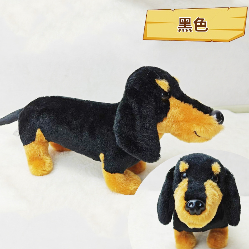 Black dachshund