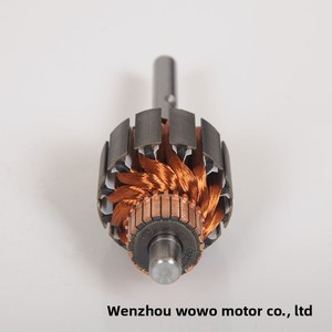Özel tek fazlı DC Motor Rotor patlamaya dayanıklı itme çubuğu su YAĞ POMPASI uyarlanmış dış çap işleme - Product Image 3