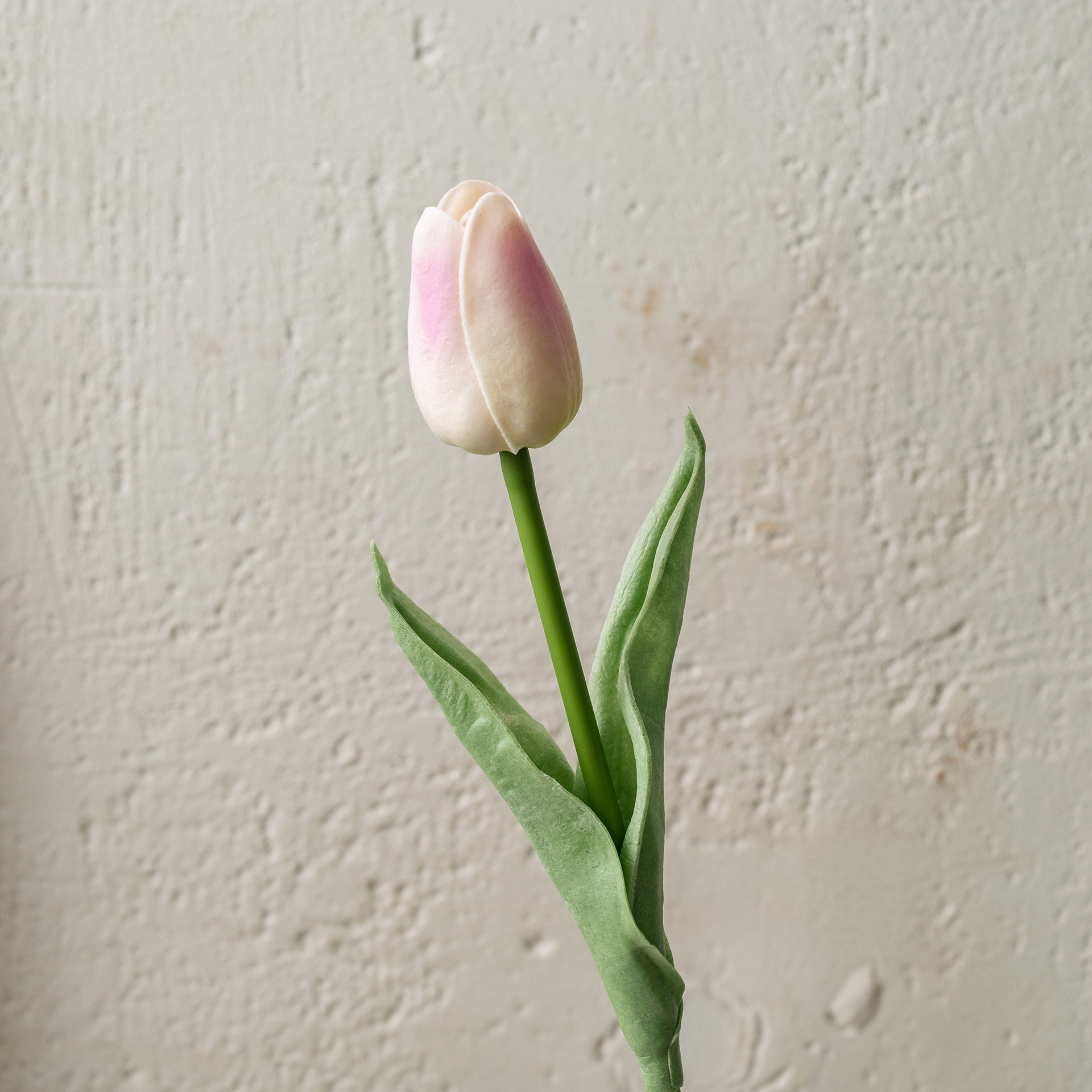 rose foncé