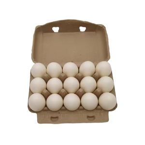 Hộp đựng trứng bảo vệ môi trường chống sốc khay trứng phân hủy, khay trứng bột giấy loại bỏ để vận chuyển - Product Image 3
