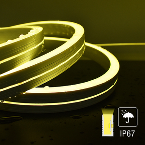 IP67 SMD2835 LED แบบปรับได้20พิกเซล RGB กันน้ำสายไฟนีออน LED 120ดวงความกว้าง10มม. DC12/24V 24W ได้รับการรับรองจาก Rohs