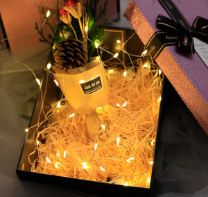 <span class=keywords><strong>LED</strong></span> filo di rame stringa di luce 3 funzioni lampeggiante modalità batteria scatola <span class=keywords><strong>Led</strong></span> luci seriali Decorative per le vacanze