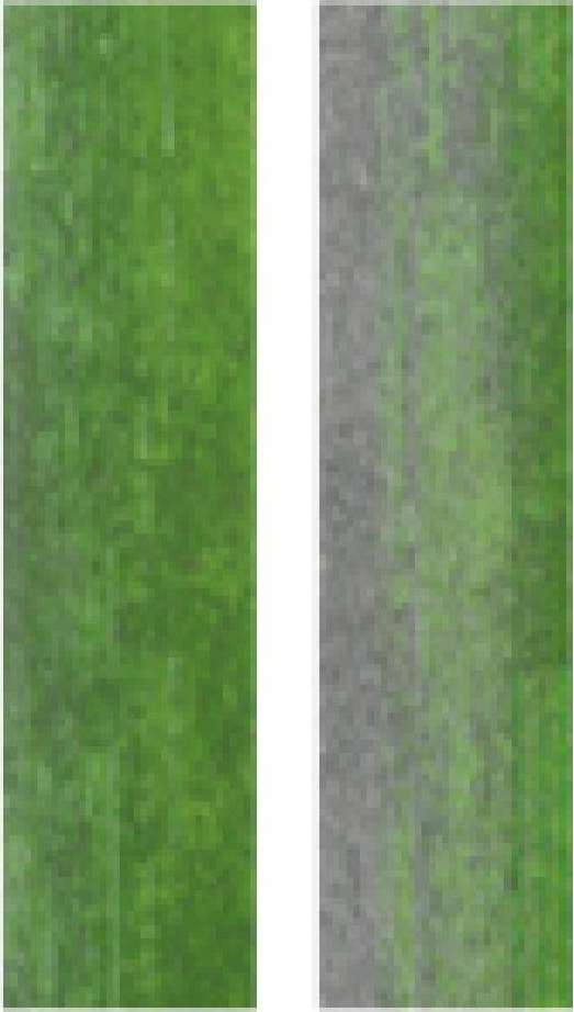 verde203