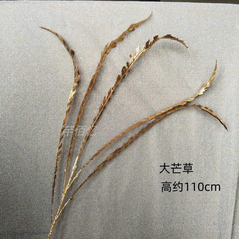 Big reed grass