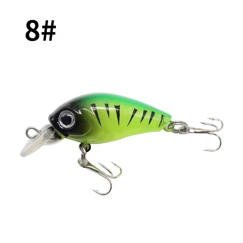 8#