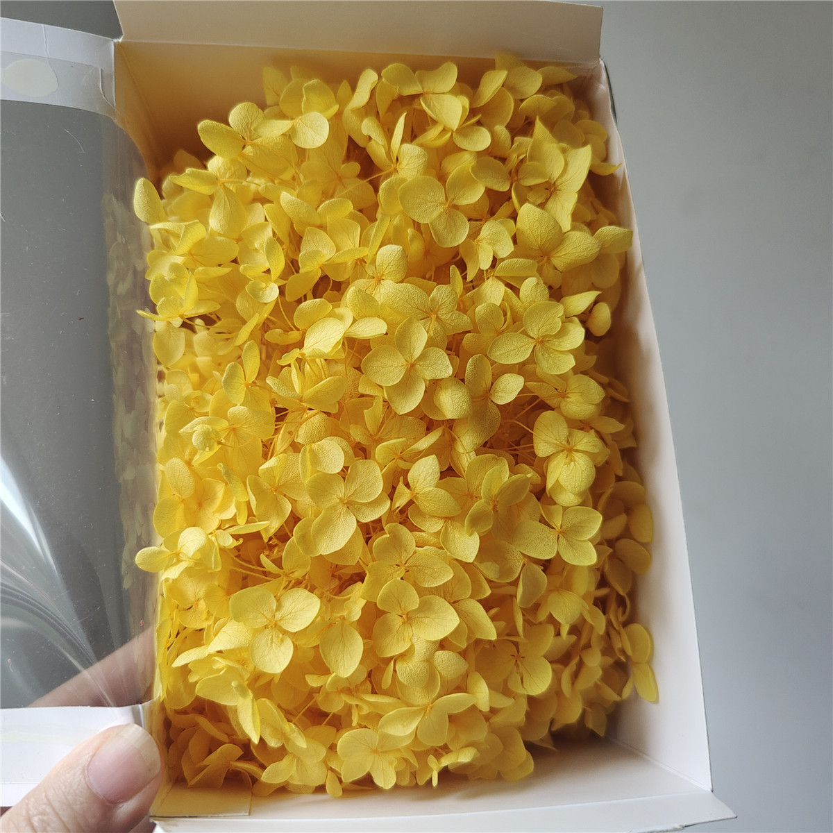 jaune doré