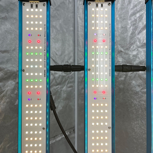 UV/IR נפרד, קינגברייט P55 1000W סמסונג LM301H EVO מנטה לבן+ירוק אמרלד 660nm UV IR מסתובב <span class=keywords><strong>LED</strong></span> לגדל בר אור