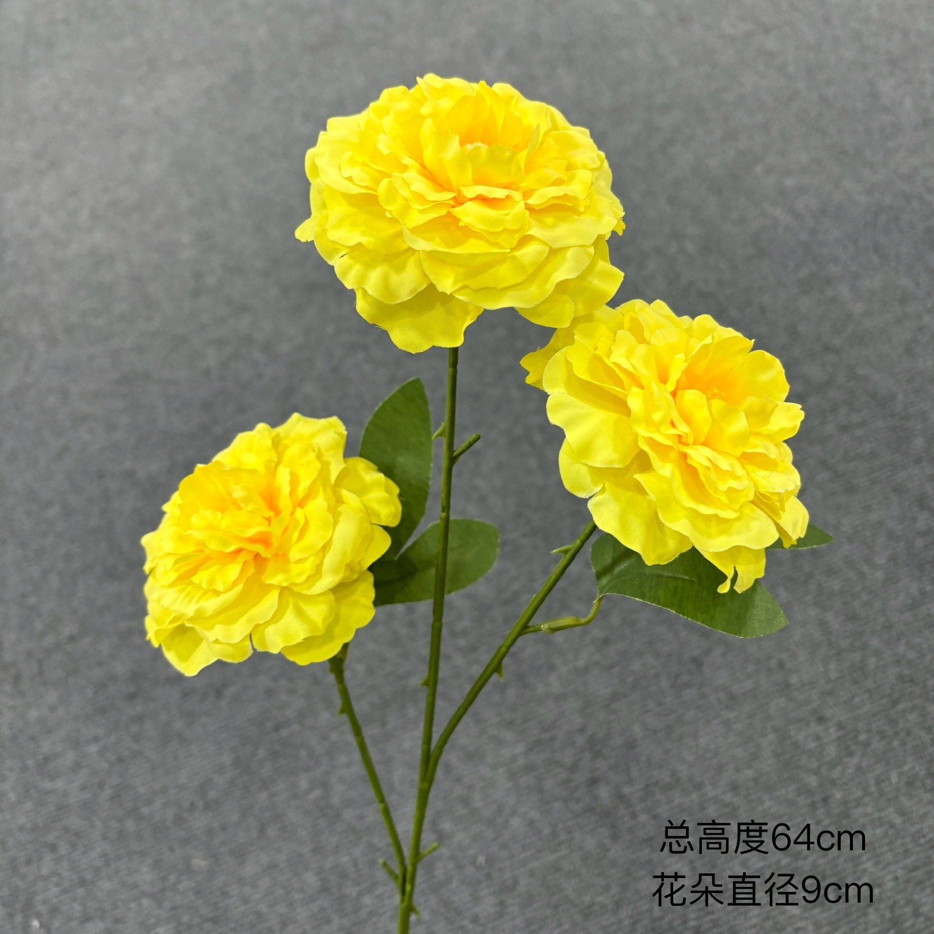 Pivoine koi à 3 têtes
