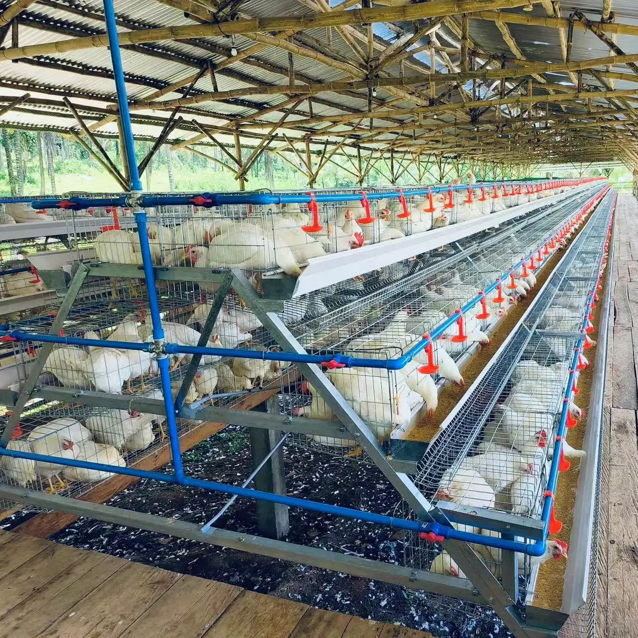 Buena calidad, uso duradero-Vida útil 3 niveles 120 pájaros jaula de pollo galvanizada en caliente
