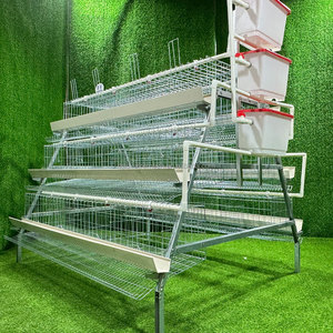Chất lượng cao một loại lớp gà lồng thiết bị nông trại pin gia cầm lồng Gà nhà đẻ gà - Product Image 1
