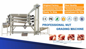 High Quality peanuts Color <strong>Sorting</strong> <strong>Machine</strong> Peanut <strong>Sorting</strong> <strong>Machine</strong> Grading - Product Image 6
