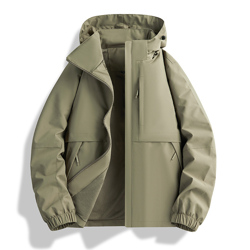 Vert olive