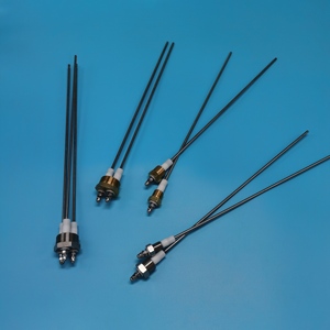 Nhiệt độ cao SS304 chủ đề mực nước cảm biến điện cực nồi hơi mực nước thăm dò - Product Image 6