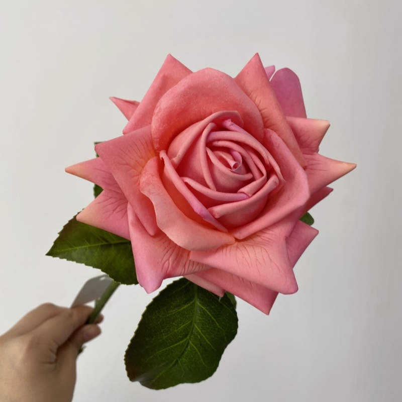 Rosa roja