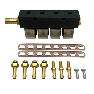 Lpg Cng 4 Cyl Conversion Kit Auto Natural Gas <strong>Gnv</strong> Glp <strong>Injectors</strong> for Auto Engine Parts Spare - Product Image 2