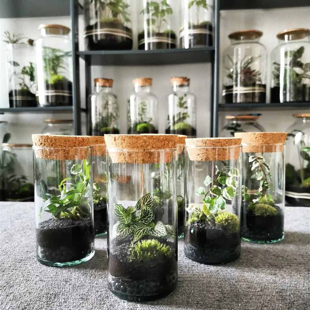 OEM terarium tanaman hidroponik vas silinder lumut terarium dekorasi rumah meja DIY pot kaca hutan dengan tutup untuk dalam ruangan