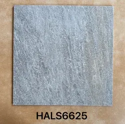 HALS66251
