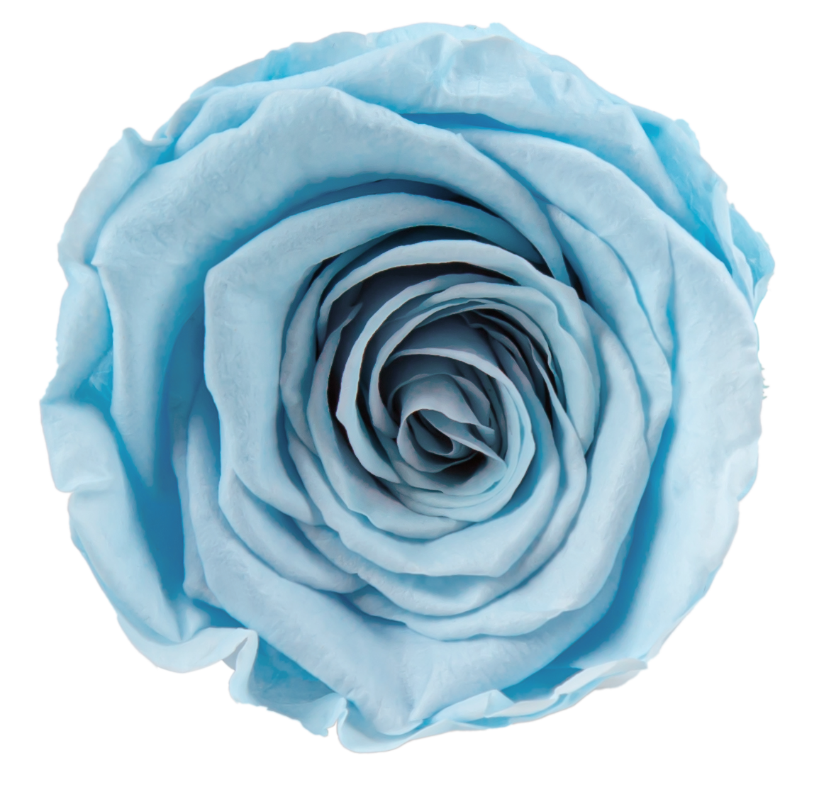 Blu-chiaro