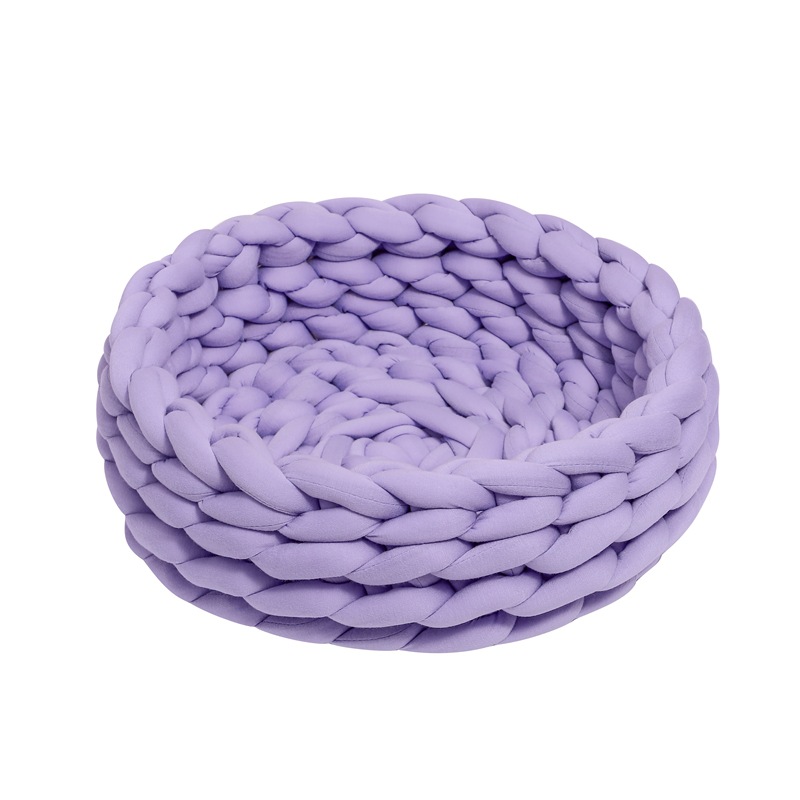 Viola