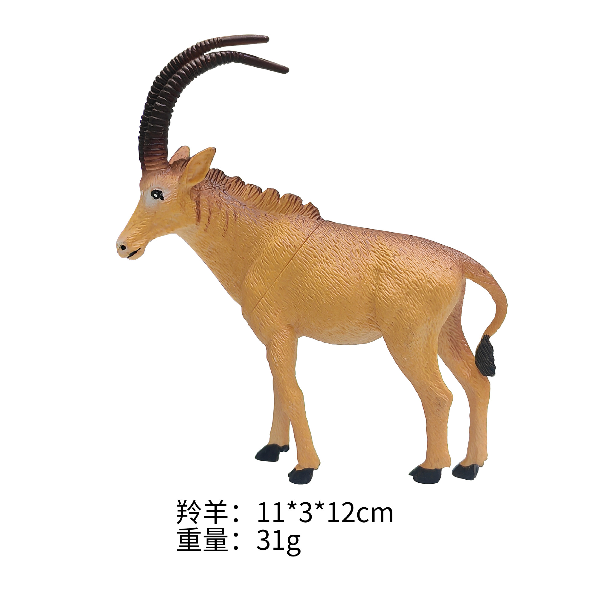 Antilope de 5 pouces