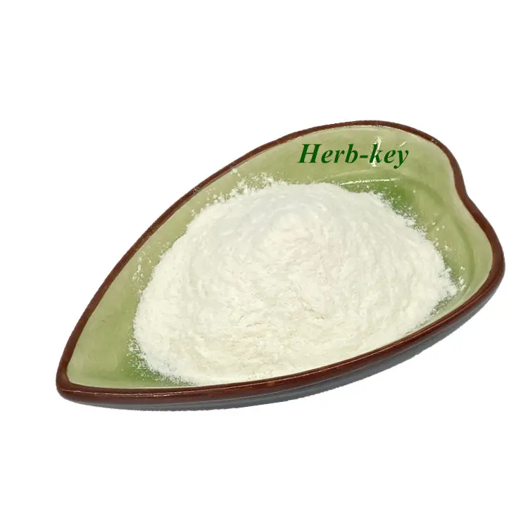 Herb-key supply poudre d'extrait de stevia biologique Extrait de feuille de stevia de haute qualité