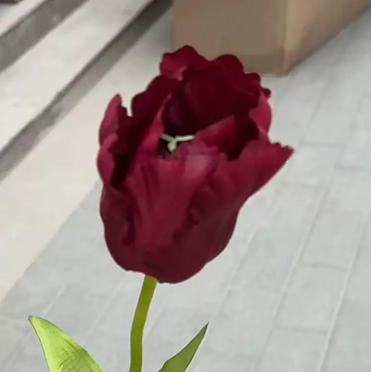 Rouge