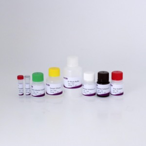 <span class=keywords><strong>Kit</strong></span> de <span class=keywords><strong>test</strong></span> d'anticorps cELISA de type 2 (<span class=keywords><strong>PCV2</strong></span>) <span class=keywords><strong>Circovirus</strong></span> porcin-Haute sensibilité et spécificité pour les diagnostics vétérinaires - Product Image 5