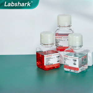 Labshark 0.25% 胰蛋白酶-EDTA溶液100毫升实验室胰蛋白酶消化试剂基本实验室供应 - Product Image 1