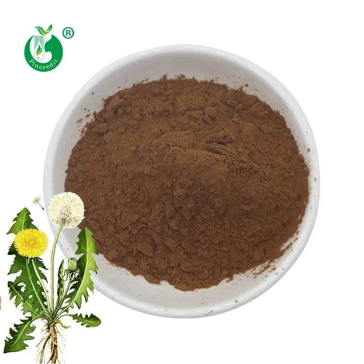 Pincredit Abastecimento 100% Pure Roasted Dandelion Root Extract