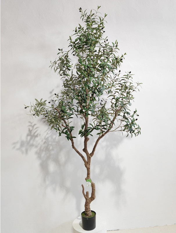 Green 240cm (Detachable Version)